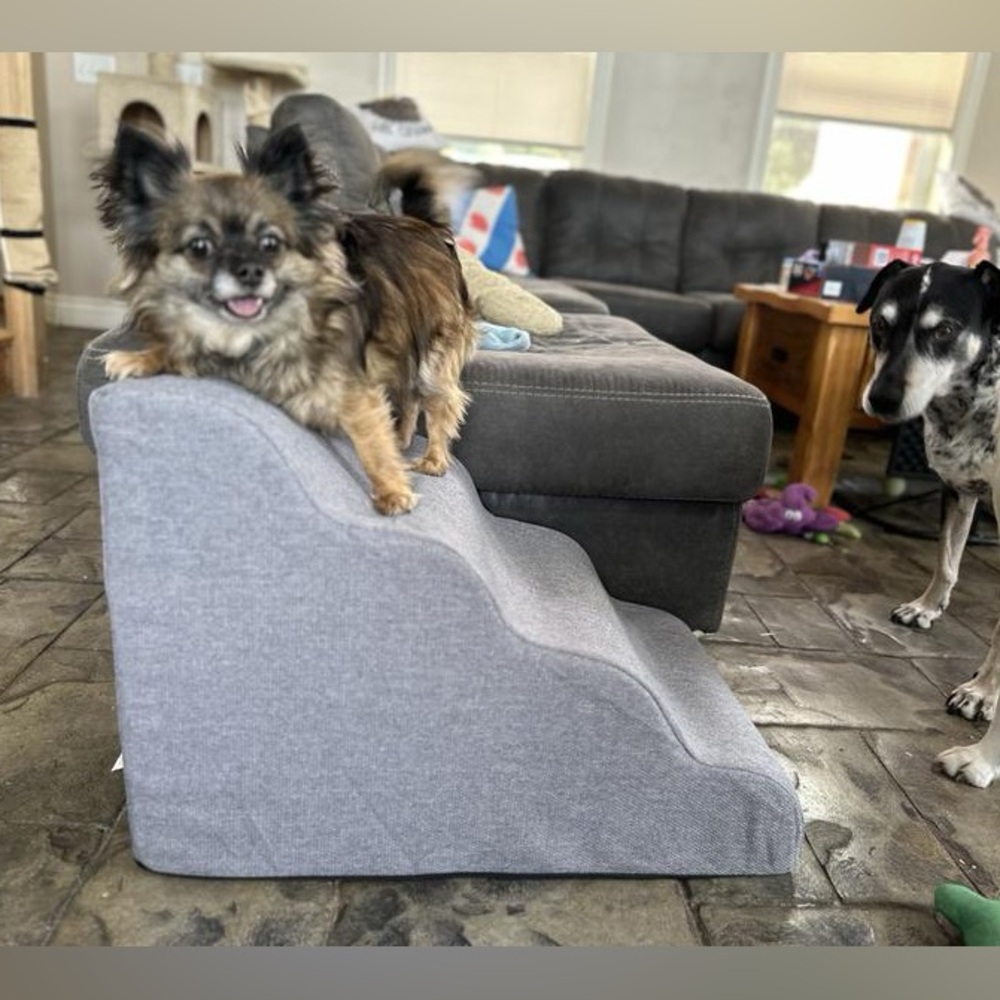 EveryYay 4 step Petco foam ramp NEW $99 dog pet steps stairs senior joint
